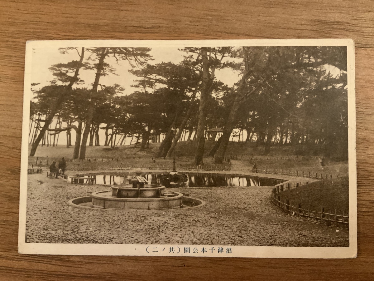 ■送料無料■ 沼津千本公園 切手1銭5厘 消印沼津 静岡県 絵葉書 白黒写真 レトロ 葉書 エンタイア 写真 印刷物 風景 /くNAら/EE-6221_画像1