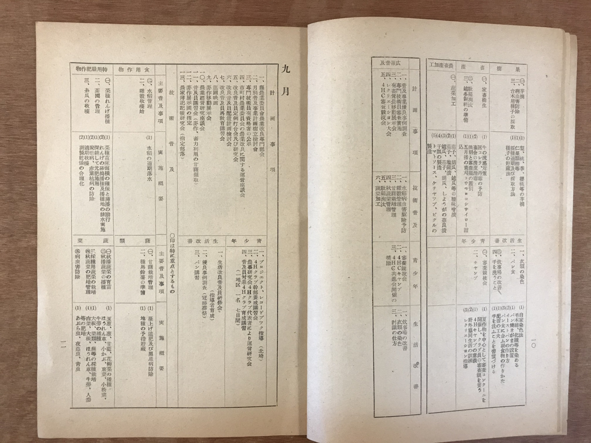 ■送料無料■ 農業改良普及事業計画 本 冊子 小冊子 埼玉県 農業改良課 年間計画 印刷物 昭和27年 24ページ 41g レトロ /くKAら/PA-4116_画像4