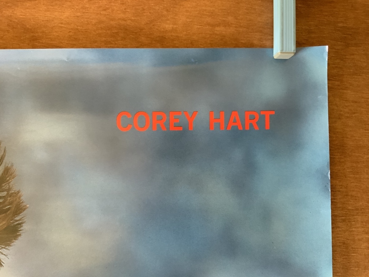 ■送料無料■ Corey Hart コリー・ハート 歌手 ロック歌手 ミュージシャン ポスター 印刷物 レトロ アンティーク /くKAら/KK-1262_画像6