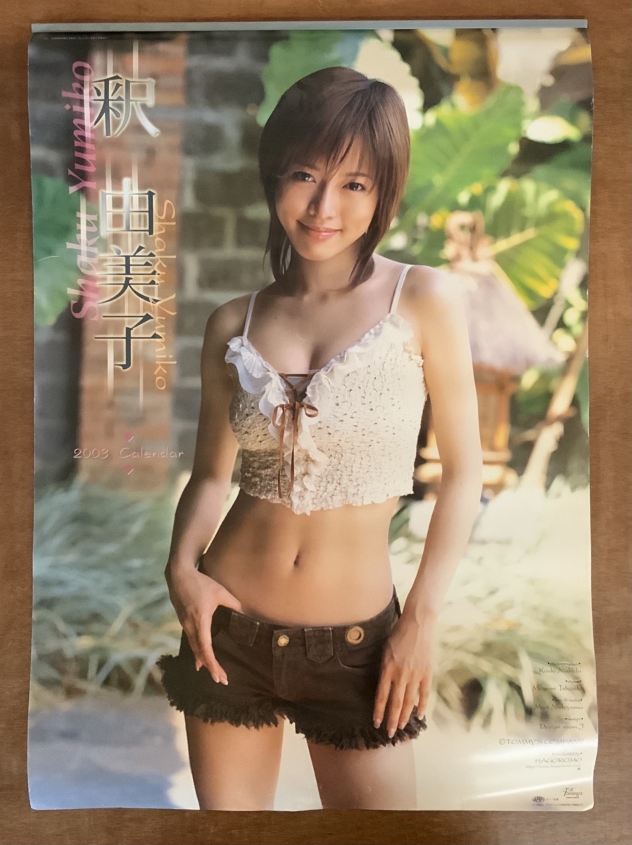 Yahoo!オークション - 送料無料 釈由美子 女優 グラビアアイドル Yahoo!オークション - 送料無料 釈由美子 女優 グラビアアイドル
