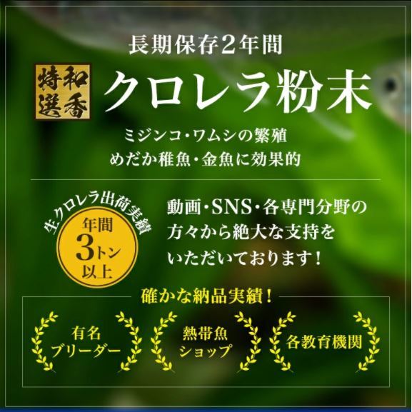 和香特選粉末生クロレラ50ml作成用 ミジンコめだか金魚らんちゅうの餌 針子稚魚の青水作ワムシゾウリムシ生餌19_画像2