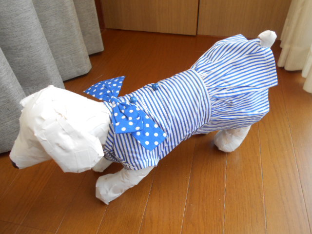 小型犬★COCKY コッキィ　ストライプ　りぼん　ワンピース　ブルー　L　日本製ビーグル　スコッチテリア等_画像6