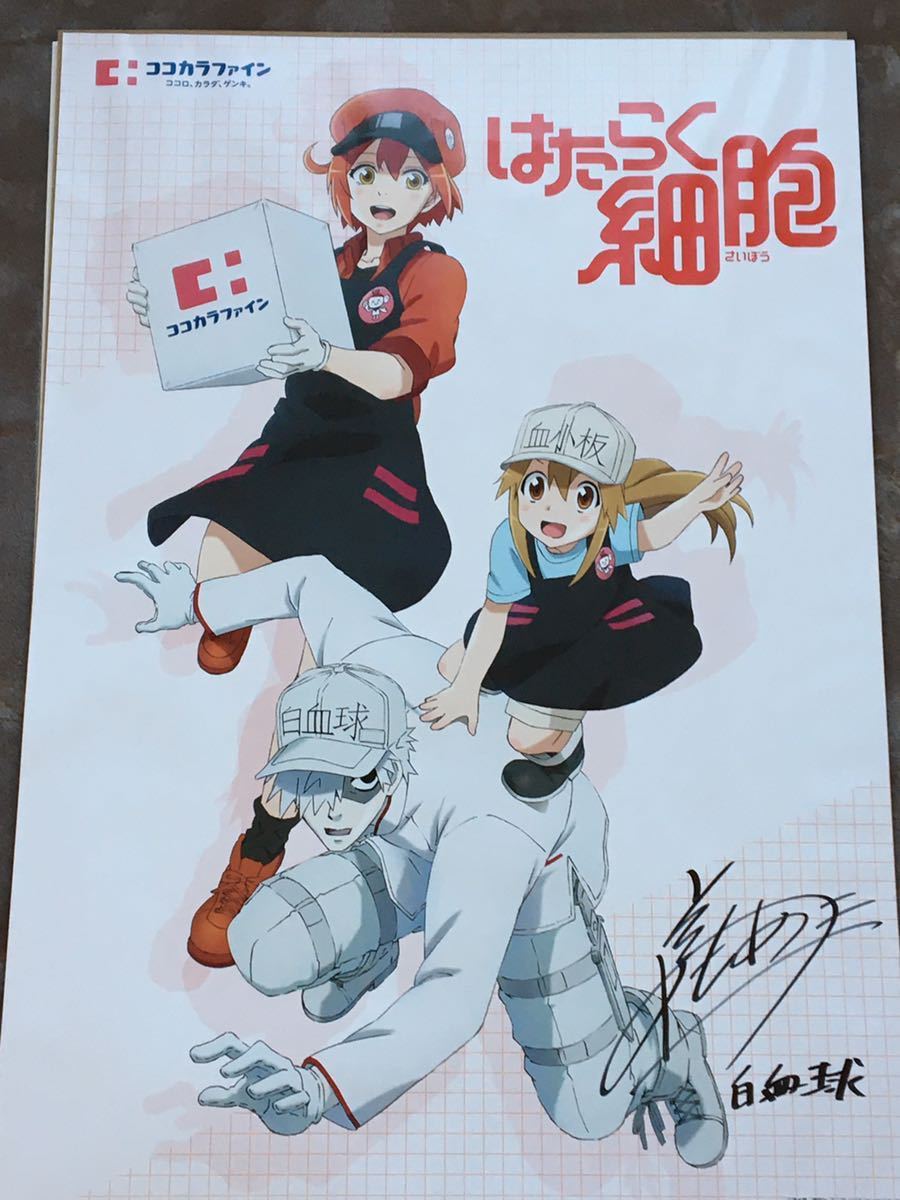 懸賞当選ポスター - 通販 - parelhas.rn.gov.br