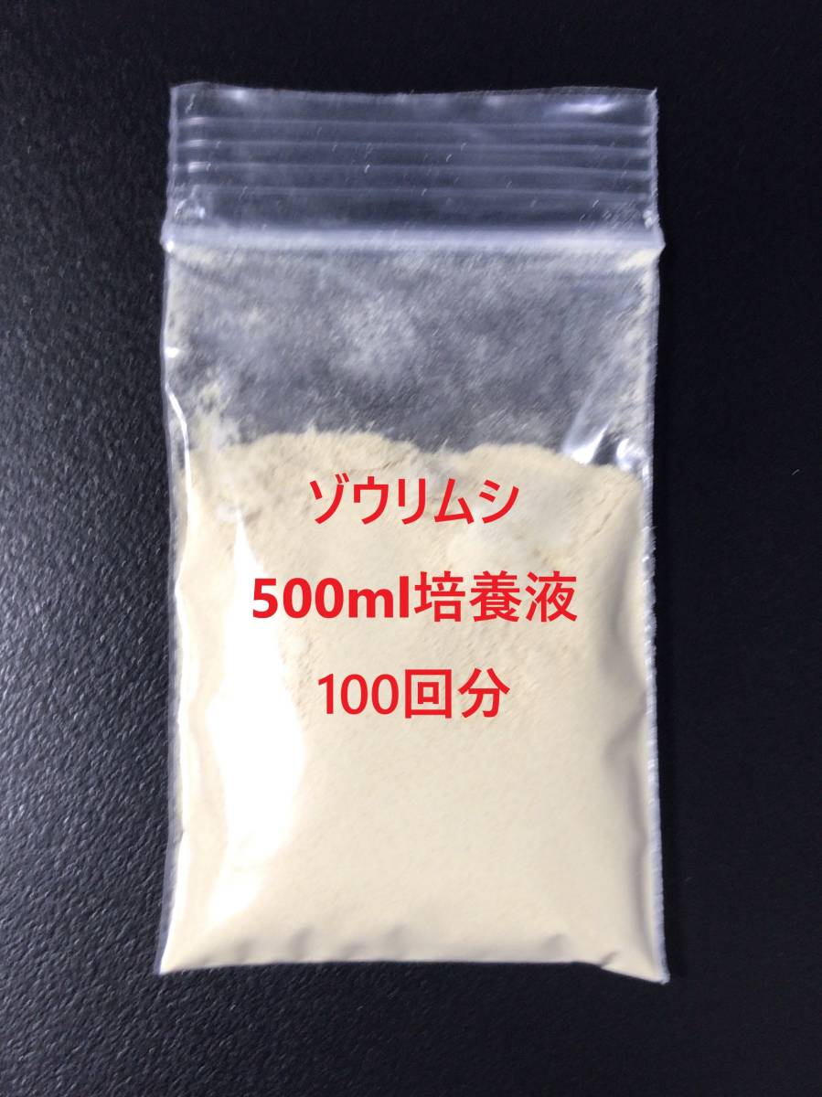 即日発送・送料安★ゾウリムシ 種水300ml+培養餌100回分のセット めだかグッピーベタ金魚の稚魚シュリンプの生餌 ミジンコクロレラ同梱可_★爆増餌100回分つき★