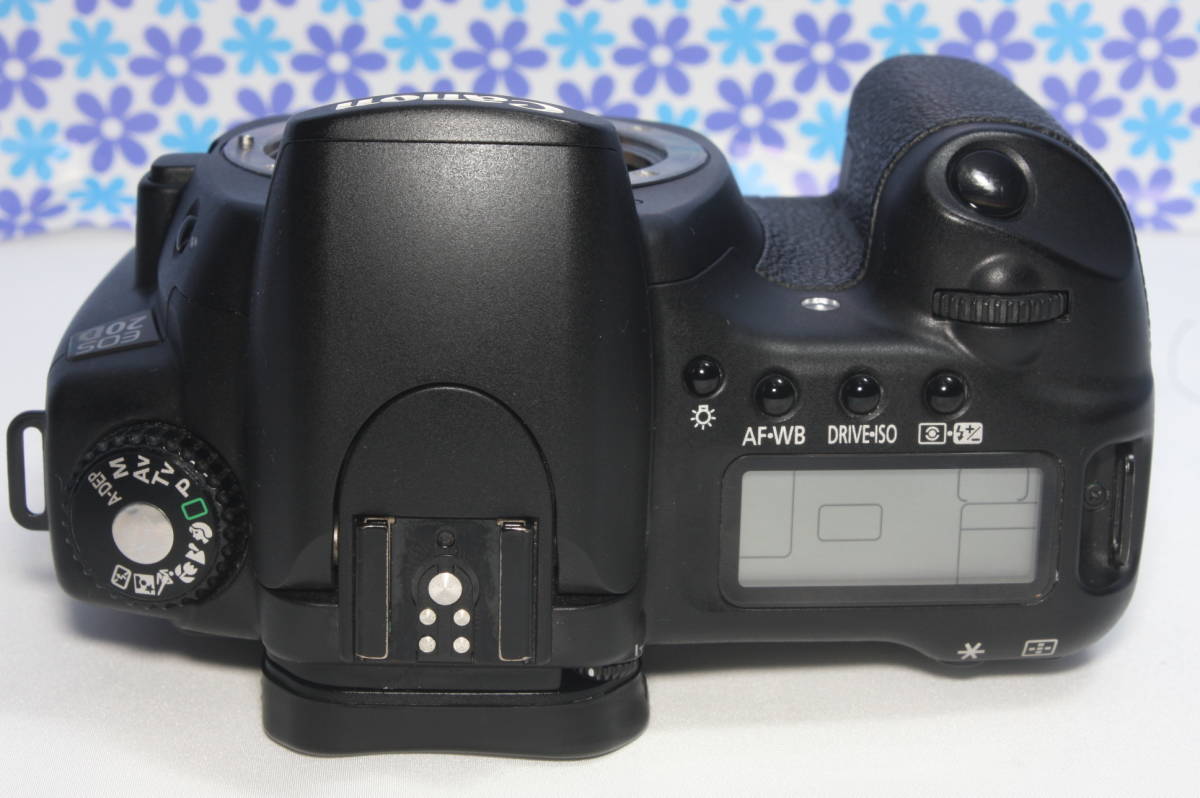 セールお得┉ ヤフオク! キャノン EOS 20D レンズセット ... - 極上美品 Canon 高品質爆買い