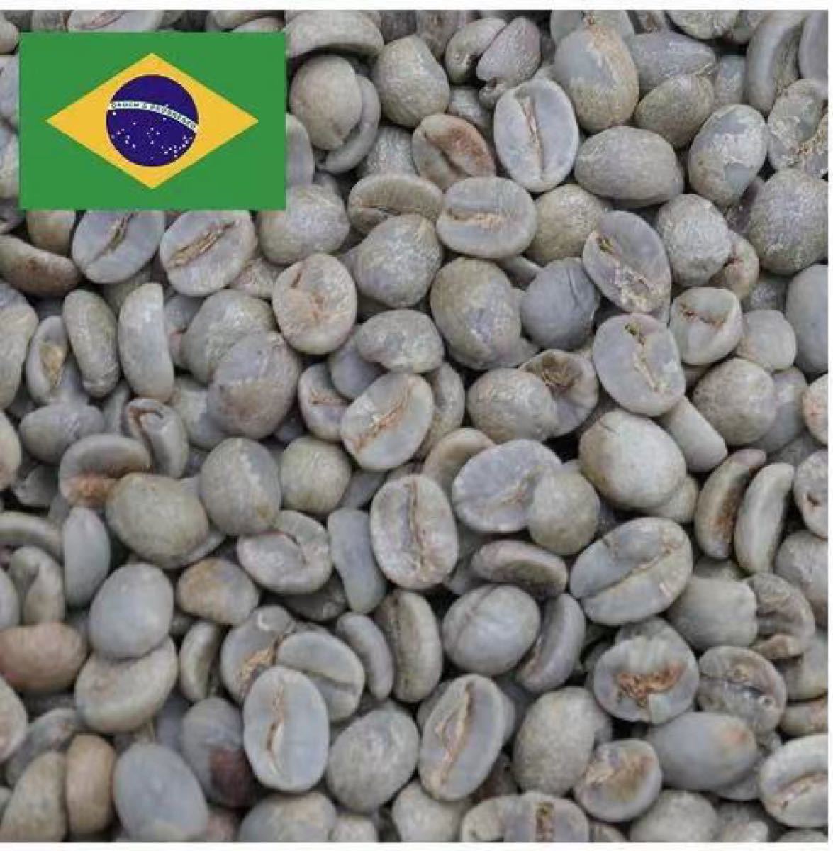 スペシャルティコーヒー！ブラジル　セラード農園　生豆510g！