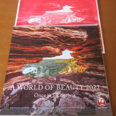 2022 JAL 壁掛けカレンダー　A World of beauty 2022 送料無料