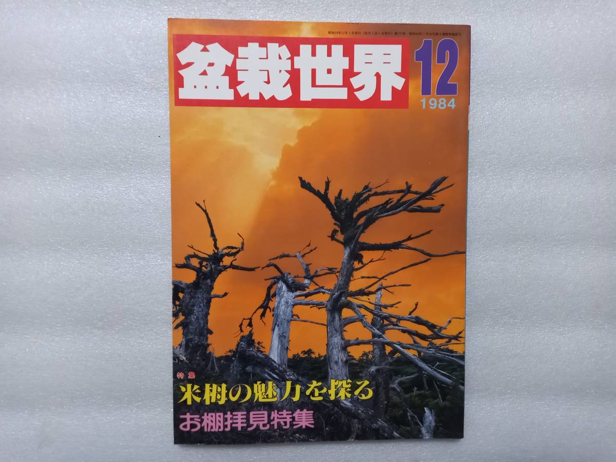 Yahoo!オークション - 盆栽世界 1984年 12月号 特集 米栂の魅力 Yahoo!オークション - 盆栽世界 1984年 12月号 特集 米栂の魅力