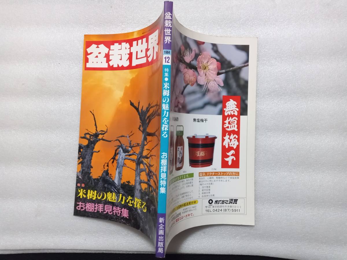 Yahoo!オークション - 盆栽世界 1984年 12月号 特集 米栂の魅力 Yahoo!オークション - 盆栽世界 1984年 12月号 特集 米栂の魅力