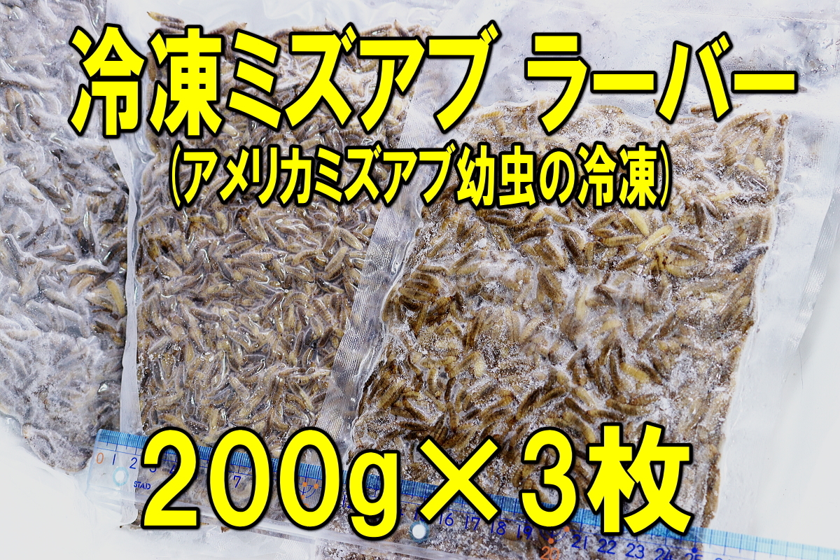 冷凍ミズアブ ラーバ 200g×3枚★アメリカミズアブ幼虫・5～15mm前後・金魚 熱帯魚 アロワナ 爬虫類 鳥 小動物 亀 両生類 錦鯉 蛙 釣り餌_画像1