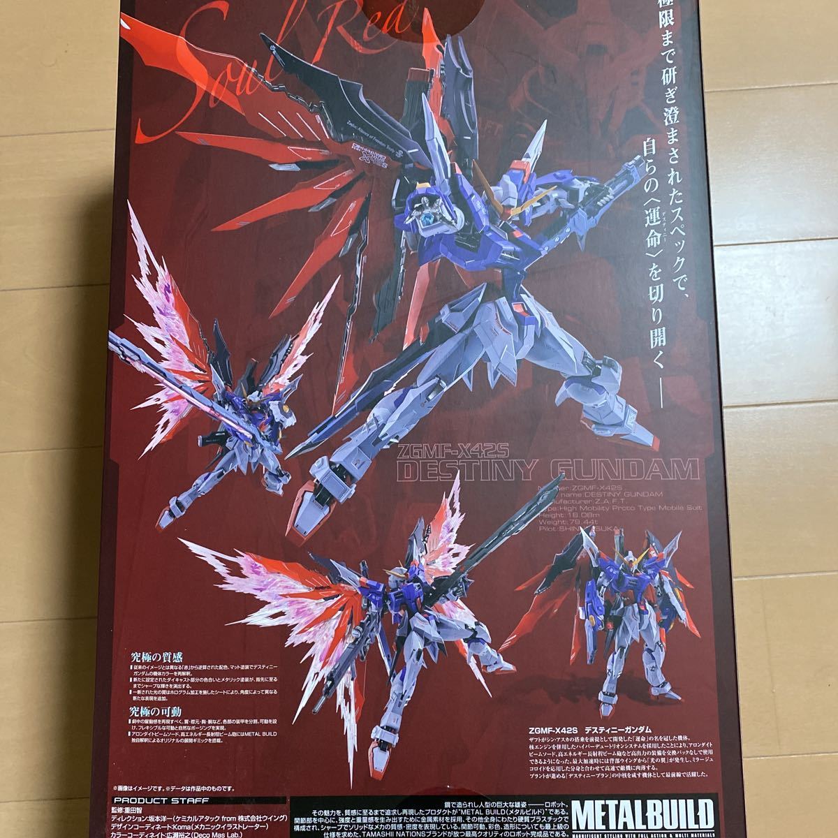 METAL BUILD デスティニーガンダム　SOUL RED ver魂ネイション 2020_画像5