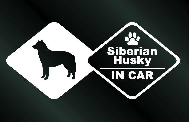 犬のステッカー シベリアンハスキー IN CAR DOG 犬 シール_画像1