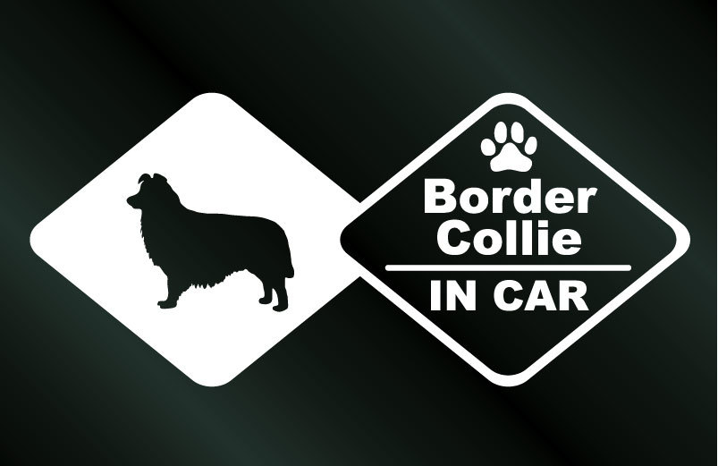 犬のステッカー ボーダーコリー IN CAR DOG 犬 シール_画像1