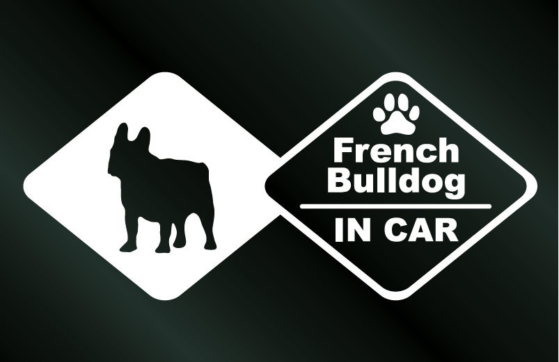  dog. sticker French bru dog IN CAR DOG dog seal 