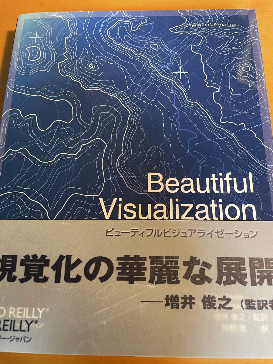 ビューティフルビジュアライゼーション / J・スティール D02793