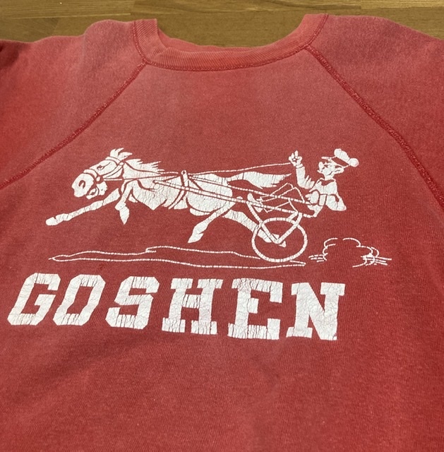 60's Champion ランタグ スウェット フロッキー ヴィンテージ usa製
