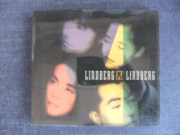 CDアルバム-4　　　　LINDBERG　　LINDBERG VI　　リンドバーグ　　　　歌手　　音楽　ロックバンド_画像1