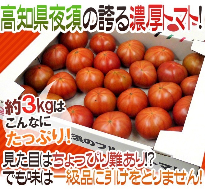 限定1箱！高知県夜須産【とさかみトマト】約3kg 高糖度 夜須のフルーツトマト！！！_画像2