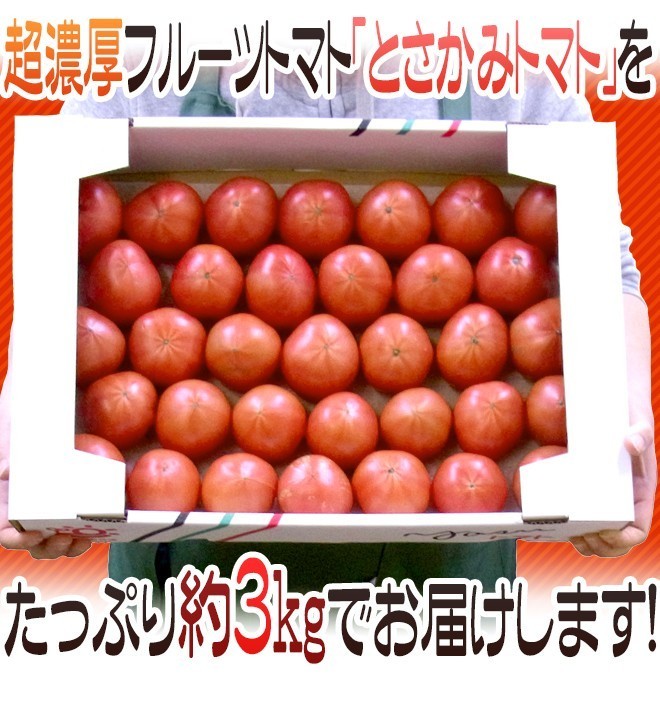 限定1箱！高知県夜須産【とさかみトマト】約3kg 高糖度 夜須のフルーツトマト！！！_画像8