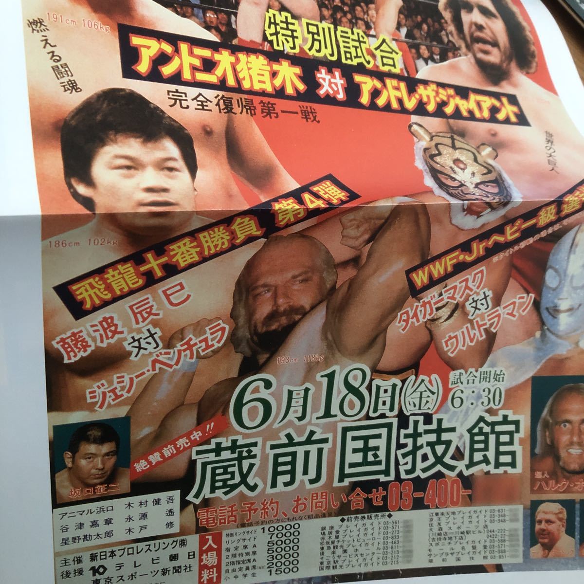  гореть . New Japan Professional Wrestling Tiger Mask ruchiya. праздник .