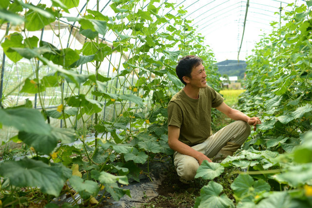 自然栽培野菜きざみ漬け(90g)X2袋☆無肥料無農薬野菜☆無添加・無化学調味料☆乳酸発酵の熟成を基本に手間を惜しまず時間と心をかけて製造_画像3