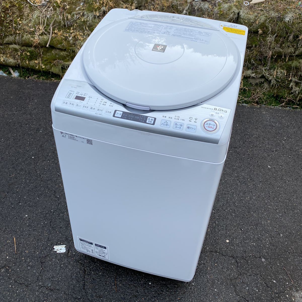 SHARP 電気洗濯乾燥機 ES-TX8D-W 2019年製 動作確認済み www.gastech