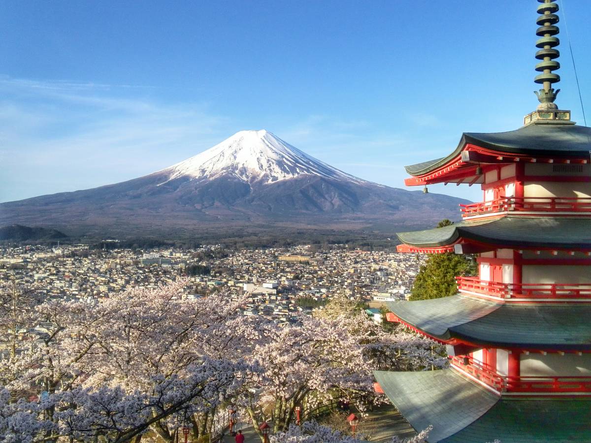  World Heritage Mt Fuji . Sakura .. -ply . photograph A4 moreover, 2L version amount attaching 