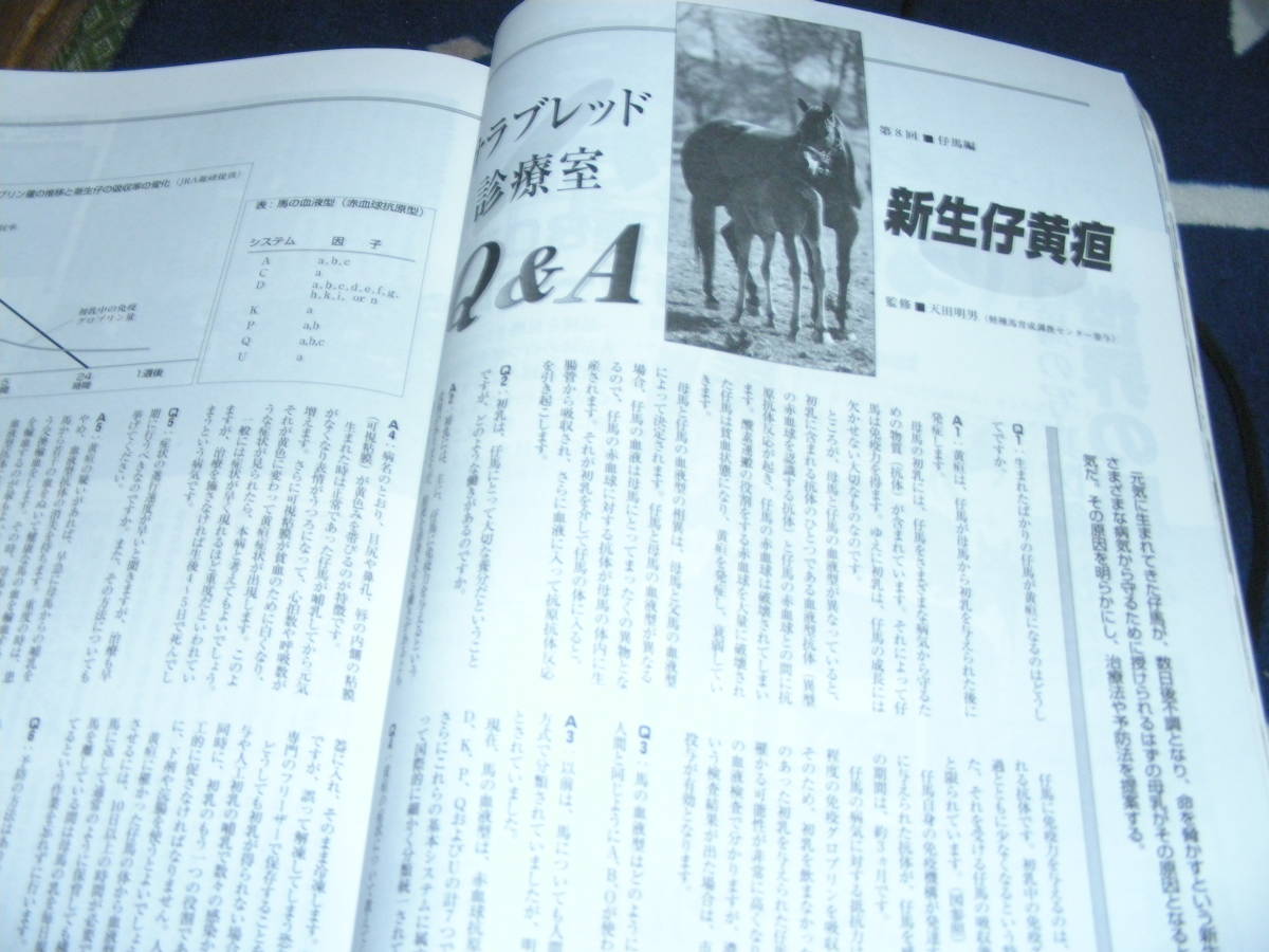 名馬　1997・冬 ＮＯ13　英断と彷徨の日本競馬　牧場の女神たち 宮内牧場_画像9