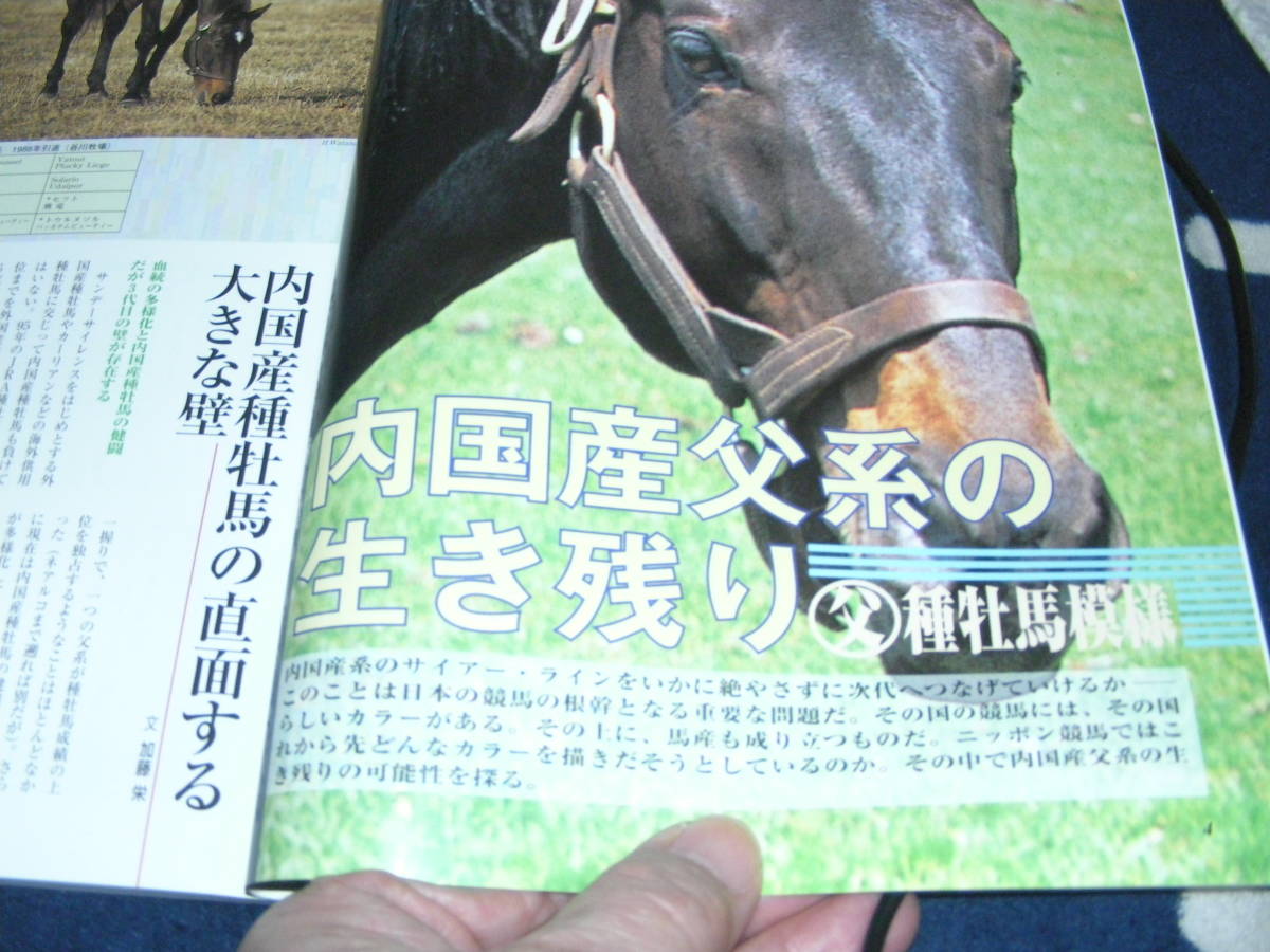 名馬　1996・夏 ＮＯ11　特集 内国産父系の生き残り　競馬を見ると日本経済が見えてくる！！_画像3