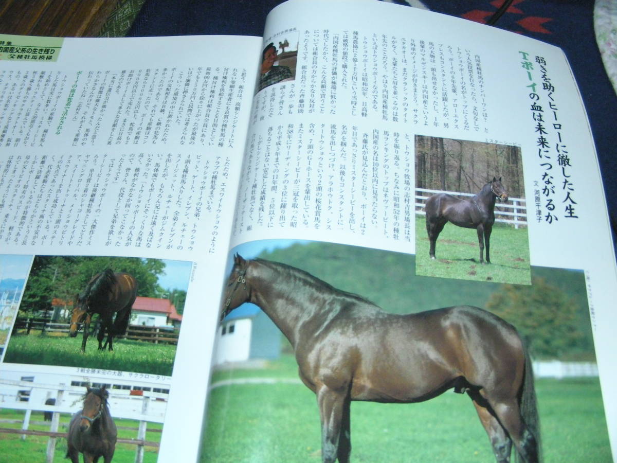 名馬　1996・夏 ＮＯ11　特集 内国産父系の生き残り　競馬を見ると日本経済が見えてくる！！_画像5