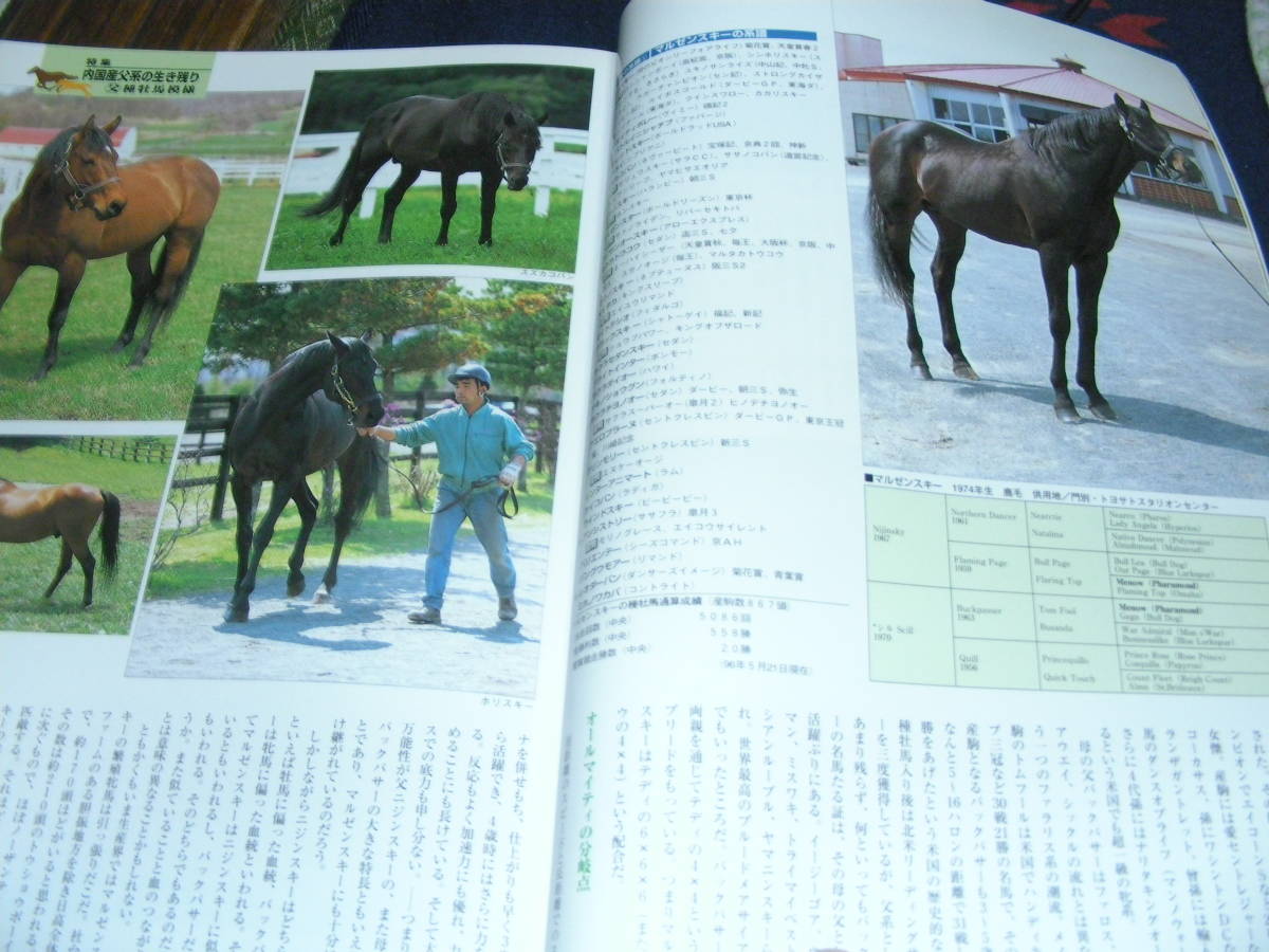 名馬　1996・夏 ＮＯ11　特集 内国産父系の生き残り　競馬を見ると日本経済が見えてくる！！_画像7