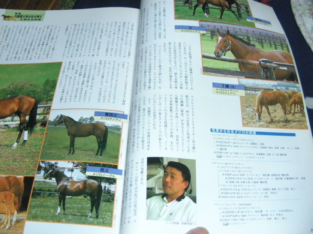 名馬　1996・夏 ＮＯ11　特集 内国産父系の生き残り　競馬を見ると日本経済が見えてくる！！_画像9