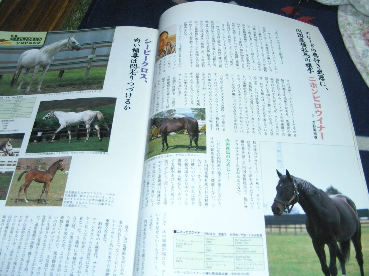 名馬　1996・夏 ＮＯ11　特集 内国産父系の生き残り　競馬を見ると日本経済が見えてくる！！_画像10
