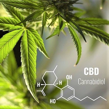 SALE！　ダイエット効果 女性誌で話題　CBDオイル　高濃度10％　CBD 1000mg配合　10ml　顎関節症 歯ぎしり 肩こり 神経痛 不眠症 _画像10