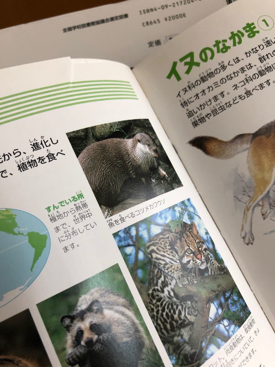 小学館の図鑑　NEO 動物　図鑑