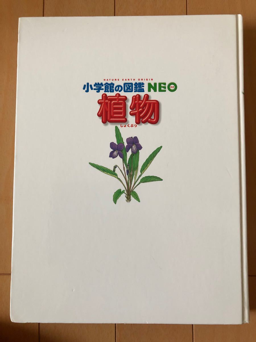 小学館の図鑑　NEO 植物　図鑑