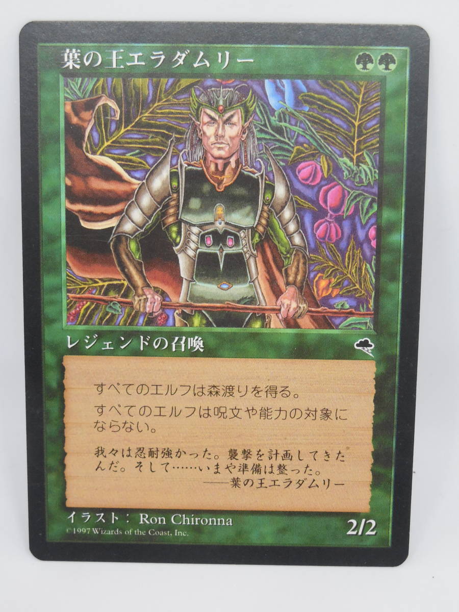 未使用 日本語　葉の王エラダムリー / Eladamri, Lord of Leaves　TMP　テンペスト　Magic: The Gathering MTG マジック ザ ギャザリング_画像1