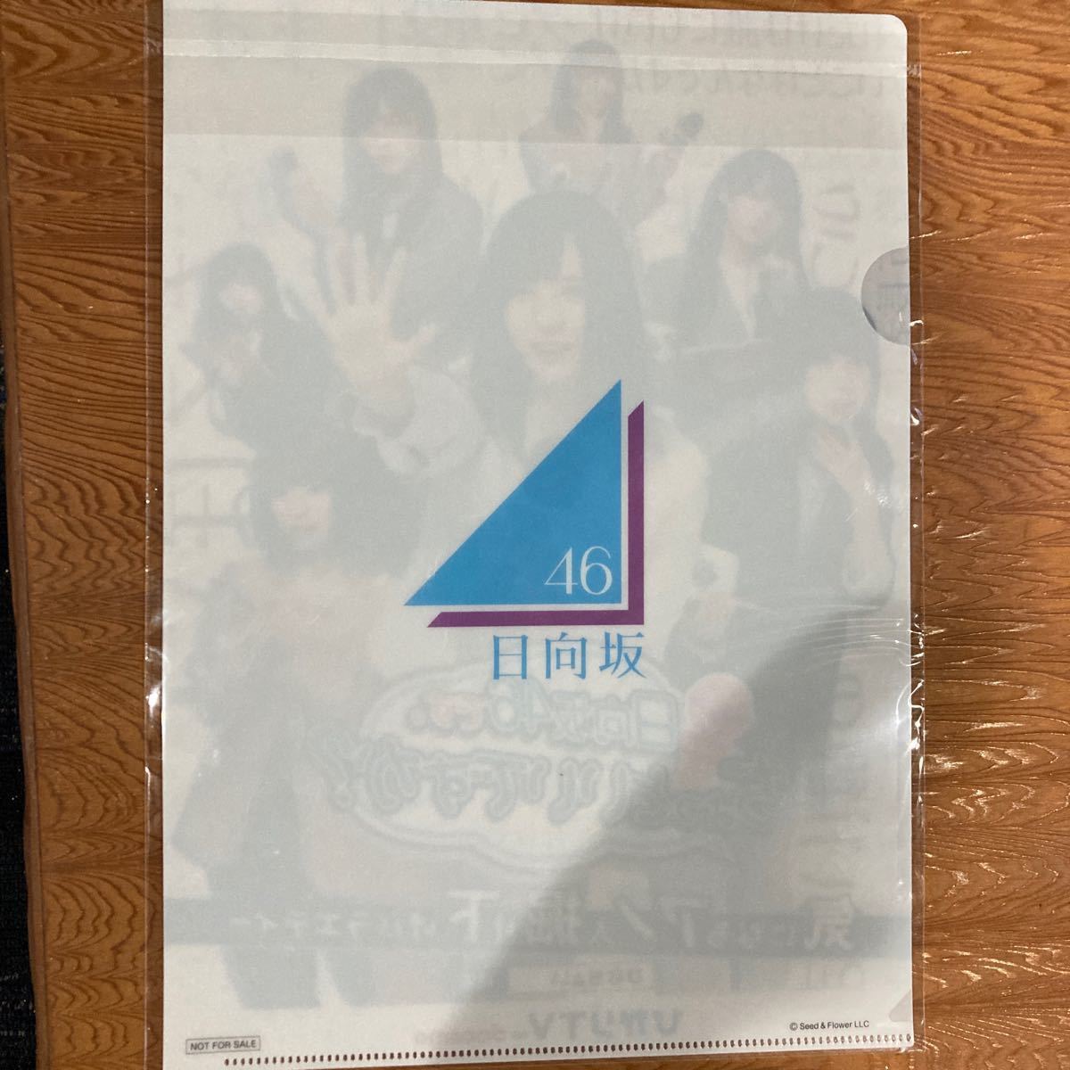 日向坂46クリアファイル5枚セット