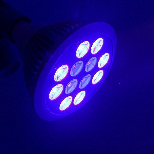 青8 紫外線4 LED アクアリウムライト 24W 水槽照明 水草 サンゴ 熱帯魚 観賞魚 植物育成_画像2