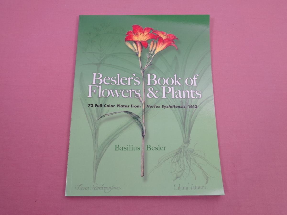 * foreign book [ Besler\'s Book of Flowers & Plants ] plant 