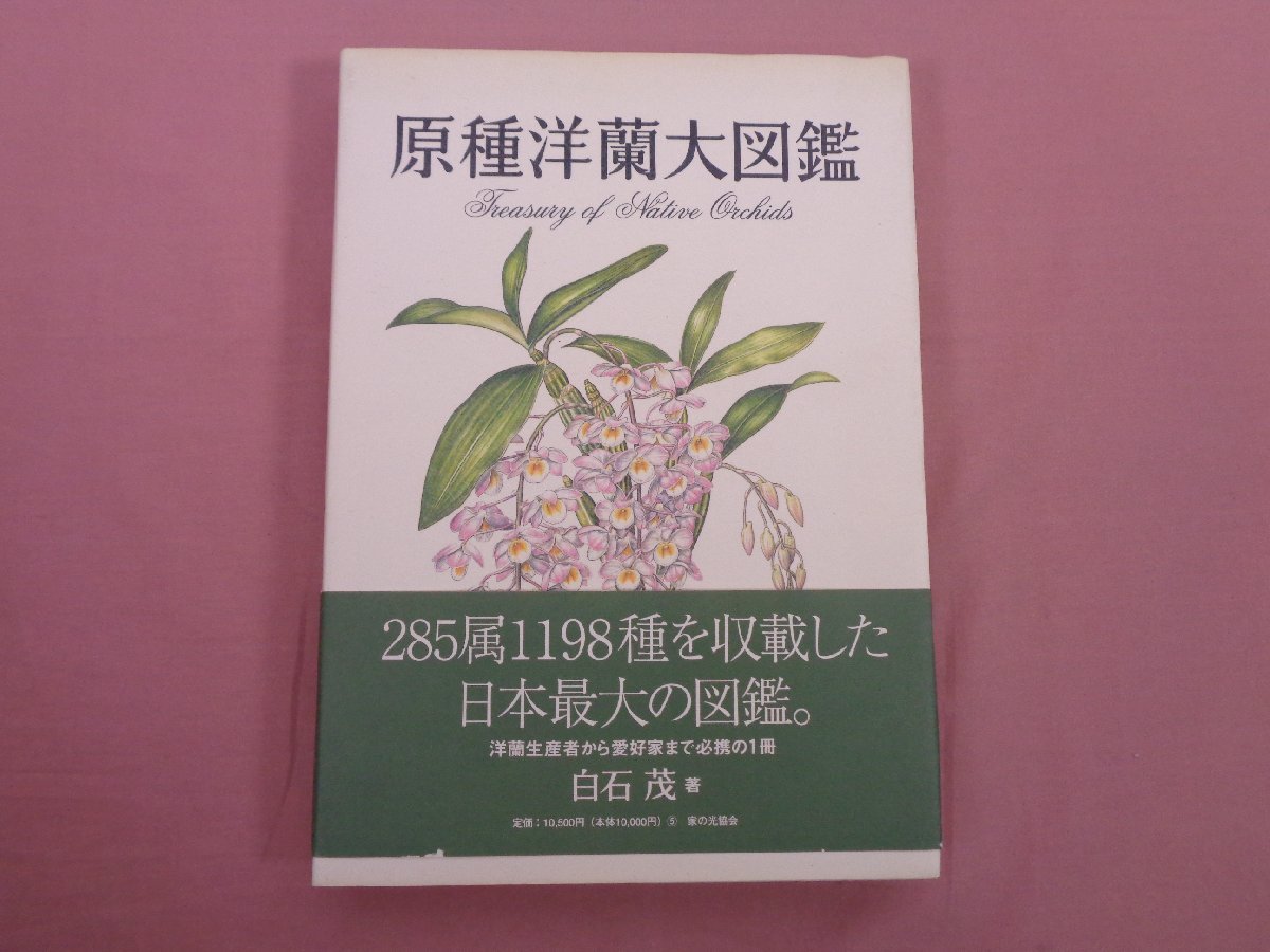 * the first version [. kind . orchid large illustrated reference book ] white stone . house. light association 