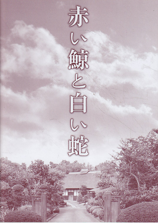 ■送料無料■08映画パンフレット■赤い鯨と白い蛇　香川京子　浅田美代子　樹木希林■_画像1