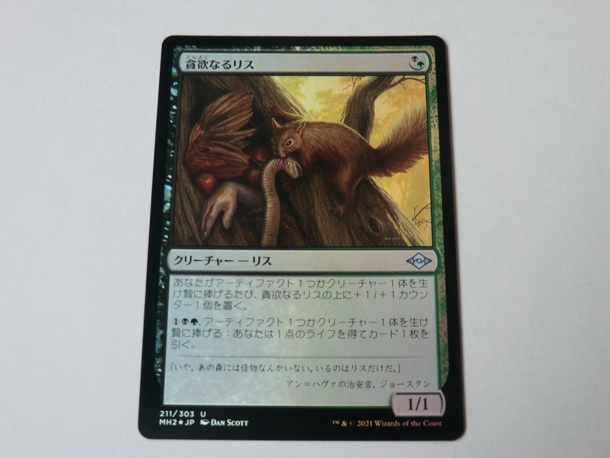 MTG 美品 【貪欲なるリス（FOIL）】 （アンコモン） MH2 日 8枚迄_画像1