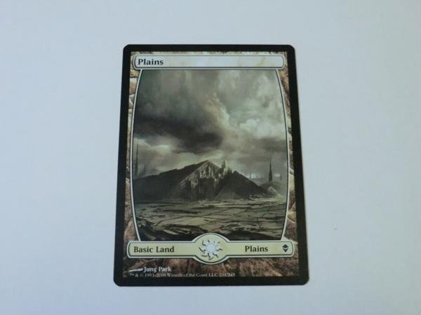 MTG 美品 【フルアートの平地(231/249)】 （コモン） ZEN 英 11枚迄_画像1