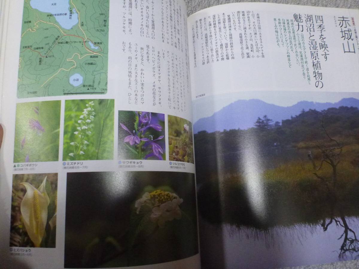  mountain climbing road ..... flower 2 middle and old age therefore. mountain climbing .(NHK publish )