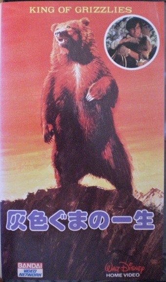 ＶＨＳ【灰色グマの一生】シートン原作、ジョン・イエスノ、クリス・ウィギンス_画像1