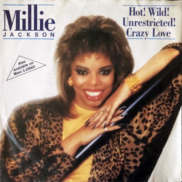 【Disco & Soul 7inch】Millie Jackson / Hot! Wild!_画像1