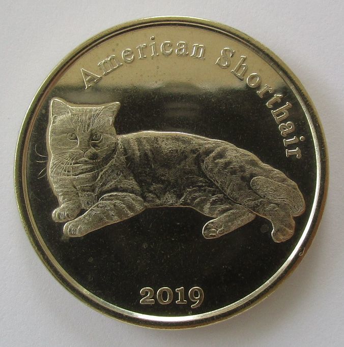 ストローマ島 アメリカンショートヘア 猫 1ポンド 2019年 硬貨 イギリス 2_画像3