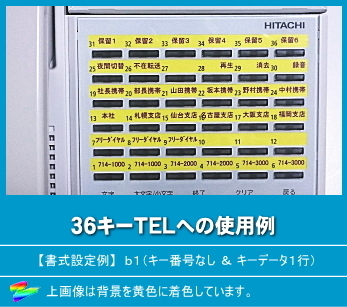 日立 HI-G TEL用 ＬＫすっきりシート 1000台分セット 【 LS-HT03-1000 】_画像7