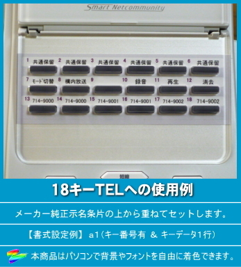NTT αA1/N1用 ＬＫすっきりシート 100台分セット 【 LS-NT51-100 】_画像9